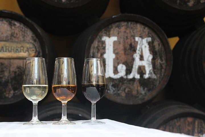 Day Trip to Sanlúcar de Barrameda: Wine Tasting, History & Optional Beach Horse Riding