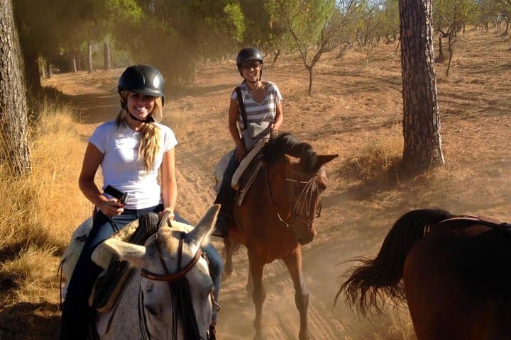 Seville Horse Riding Excursion: 2-Hour Andalusian Ranch Trail Ride photo 3