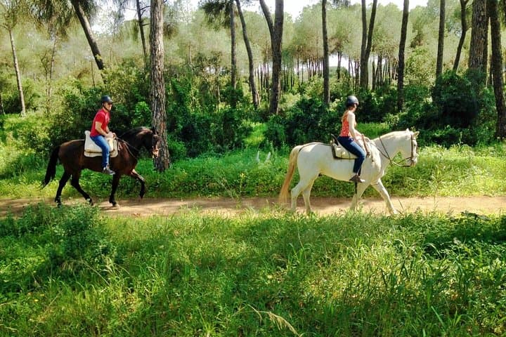 Seville Horse Riding Excursion: 2-Hour Andalusian Ranch Trail Ride