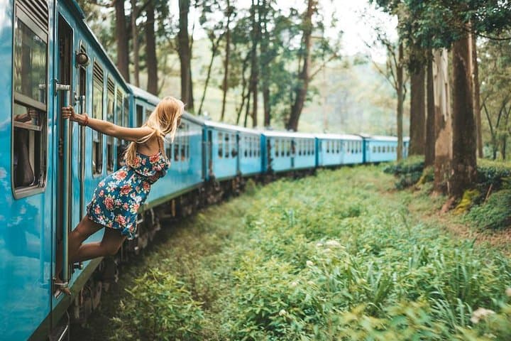 Horton Plains & Ohiya–Ella Scenic Train Day Trip from Ella