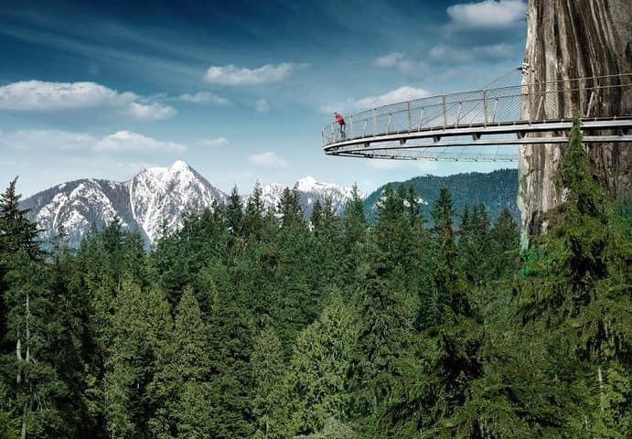 Vancouver Sightseeing & Capilano Suspension Bridge Small-Group Tour
