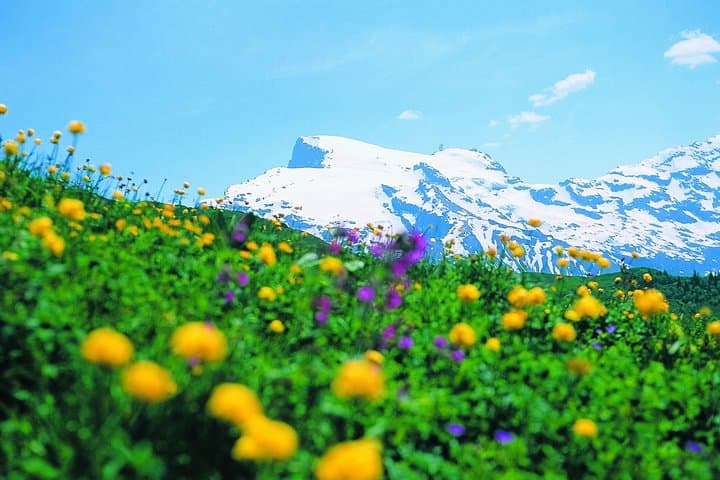 Mount Titlis Glacier Paradise Day Trip from Zurich via Lucerne photo 3