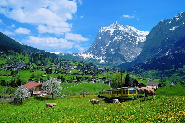2-Day Jungfraujoch Top of Europe Tour from Zurich — Train to the Roof of the Alps photo 4
