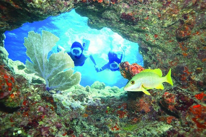 Key West Reef Snorkel: Morning Mimosas or Afternoon Margaritas Aboard a Luxury Catamaran photo 1