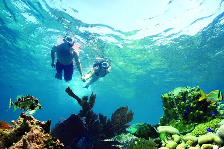 Key West Reef Snorkel: Morning Mimosas or Afternoon Margaritas Aboard a Luxury Catamaran photo 4