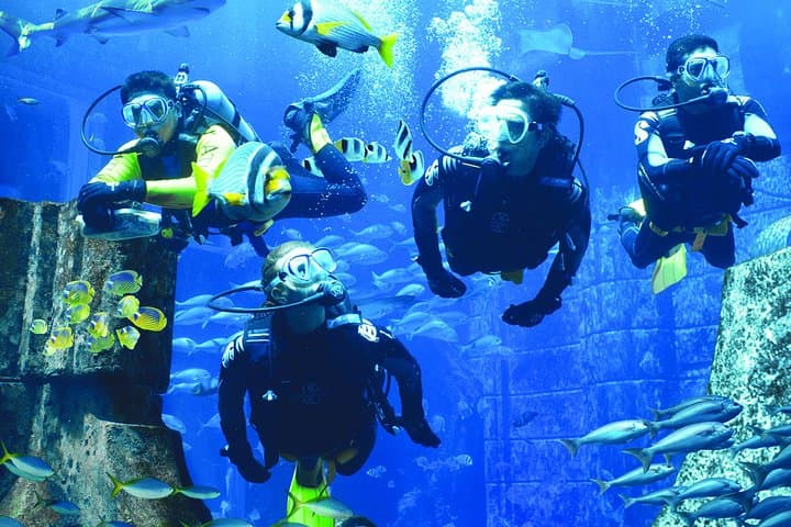 Dubai Lost Chambers Dive Discovery: Scuba in Atlantis’ Ambassador Lagoon