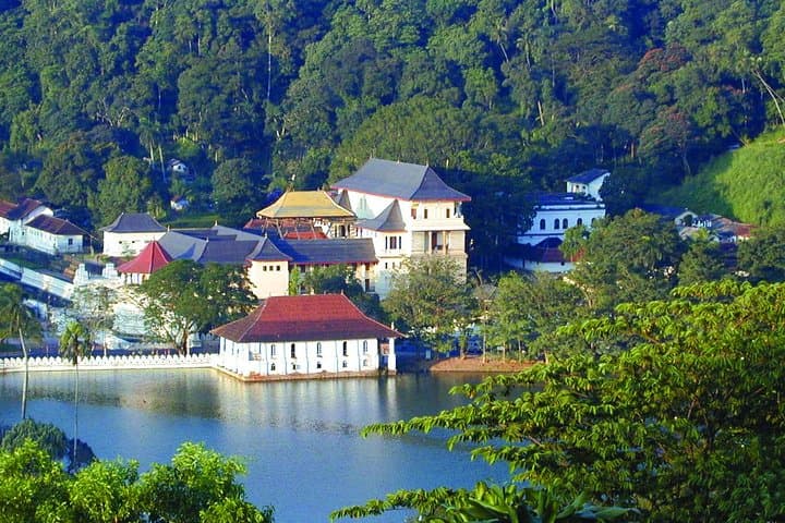 Private Kandy Day Tour from Bentota & Beruwela: Peradeniya Gardens, Temple and Tea photo 1