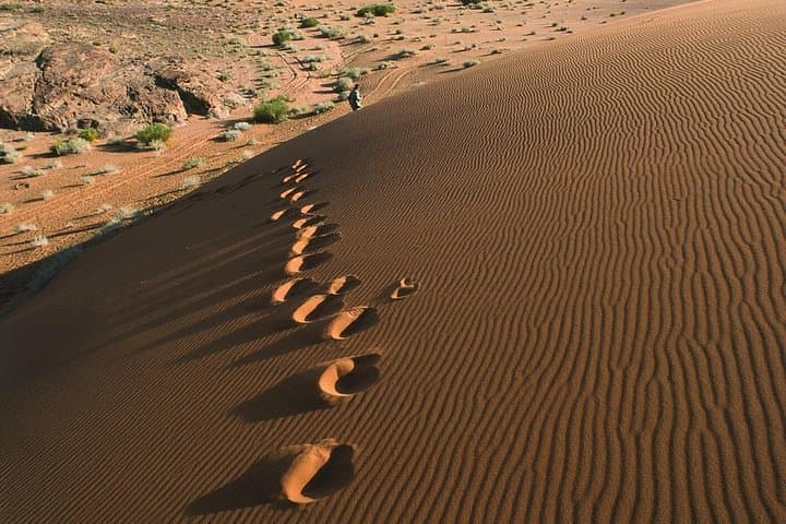 Petra and Wadi Rum in a Day: Private Tour from the Dead Sea photo 2