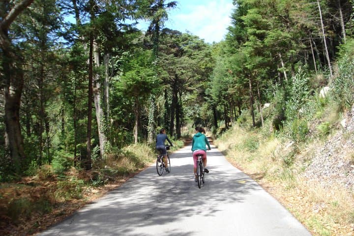 Sintra to Cascais E‑Bike Self‑Guided Route: Coastal Cliffs, Forest Tracks & Guincho photo 4
