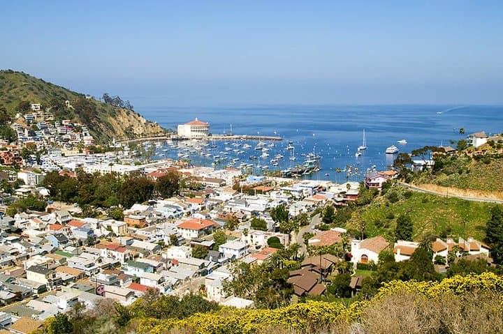 Discover Avalon — 50-Min Catalina Scenic Tour Along Avalon Harbor & Hillsides photo 2