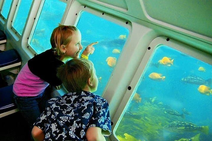 Catalina Undersea Expedition: Semi-Submersible Marine Life Tour from Avalon photo 2