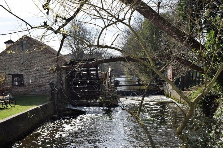 London's Best Kept Secret Bike Tour Along the River Wandle photo 4