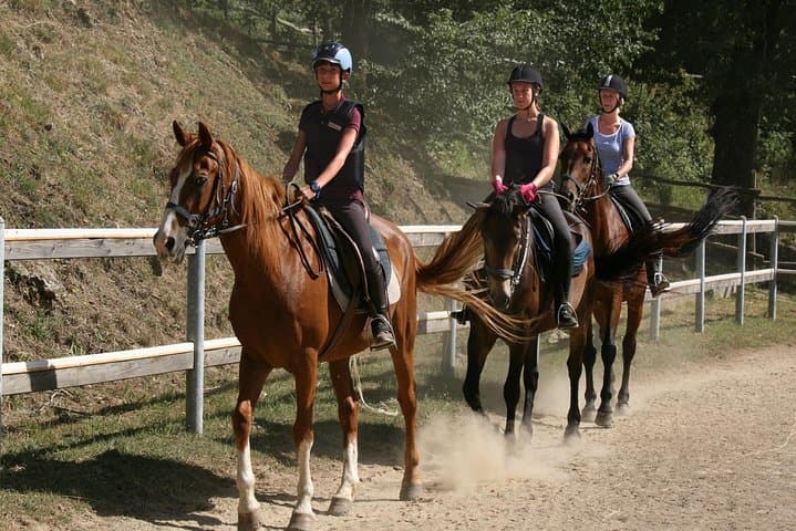 Half-Day Horseback Ride in Tuscany — Beginner-Friendly Trails Near San Gimignano photo 4