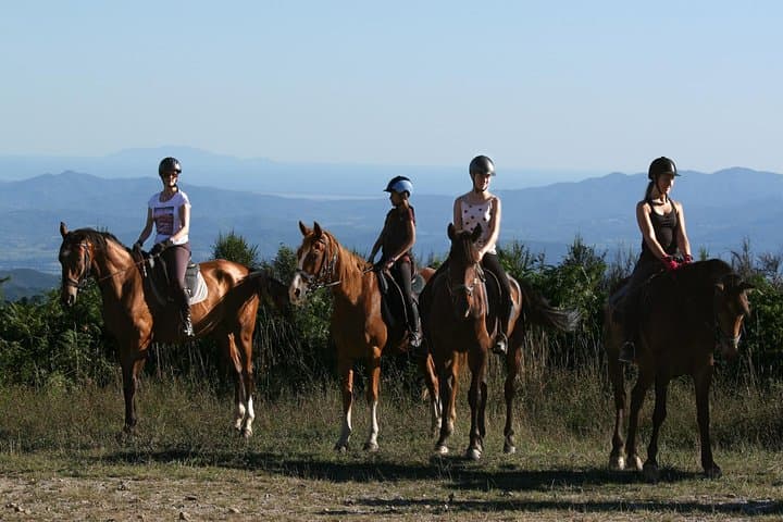 Half-Day Horseback Ride Through Tuscany’s Hills and Medieval Villages photo 2