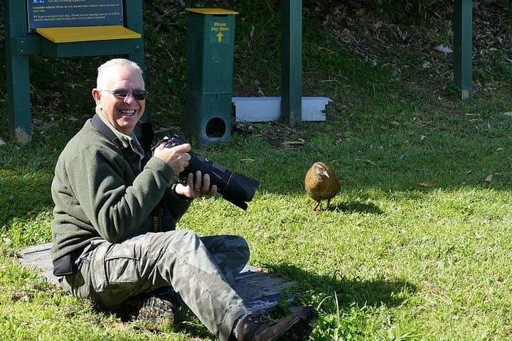 Dolphin and Bird Watching Eco‑Tour to Blumine Island, Marlborough Sounds