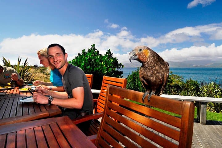 Kapiti Island Classic Guided Day Tour — Wildlife Walks & Ferry from Paraparaumu