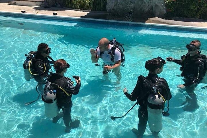 PADI Open Water Diver Course in Cancun — 3-Day Certification & 4 Ocean Dives photo 3
