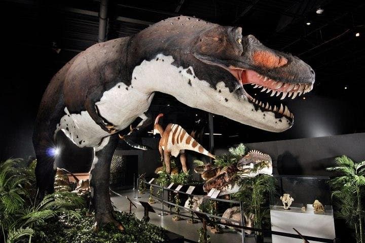 Exploring Branson Dinosaur Museum: Self-Guided Dinosaur Exhibits & Fossil Activities
