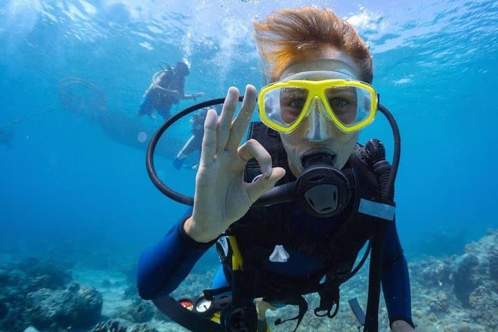 3-Day PADI Open Water Diving Course in Dubai — Learn to Dive in the Persian Gulf photo 1