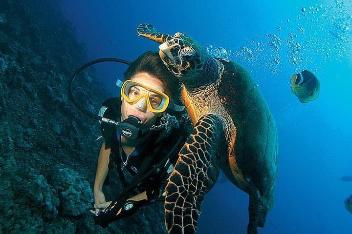 3-Day PADI Open Water Diving Course in Dubai — Learn to Dive in the Persian Gulf photo 2