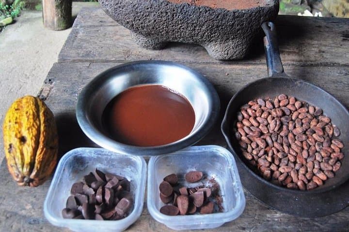 Bribri Chocolate & Cahuita National Park Day Trip — Cacao, Culture and Coastal Wildlife