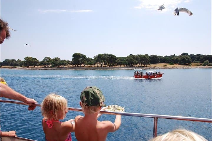 Brijuni National Park Boat Excursion from Pula — Swim, History & Dolphin Sightings photo 2