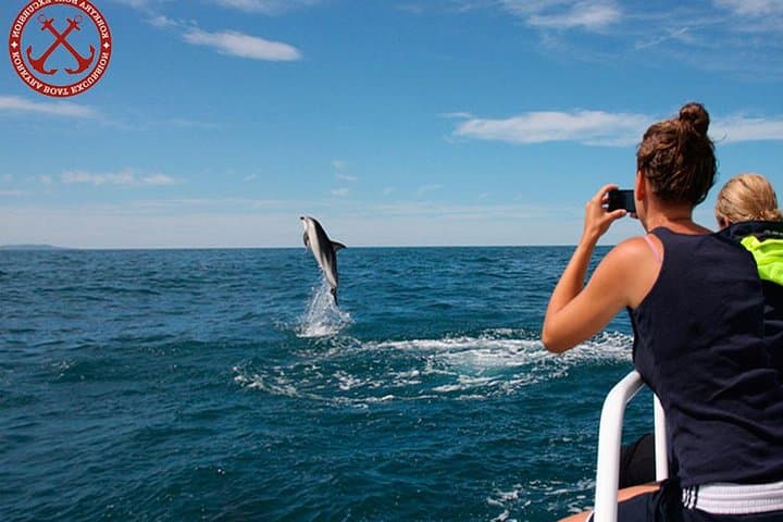 Dolphin Watching in Brijuni National Park — Sunset Cruise from Pula photo 2