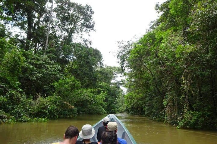 Cuyabeno 4-Day Amazon Jungle Tour: Wildlife, Community & Lake Swims