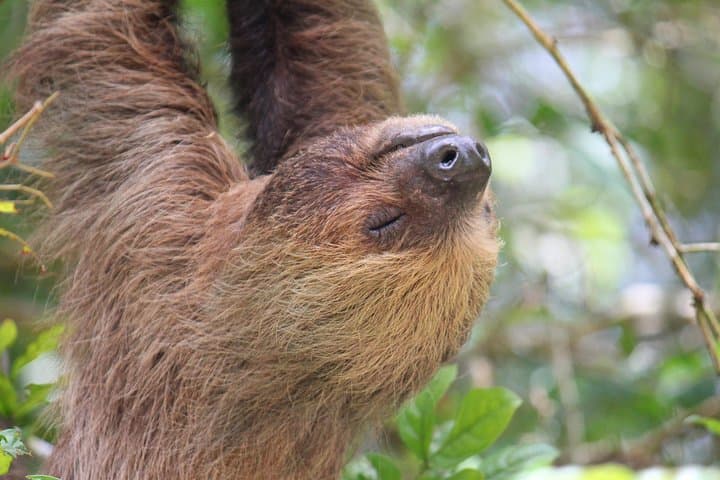 Cuyabeno 4-Day Amazon Jungle Tour: Wildlife, Community & Lake Swims photo 2