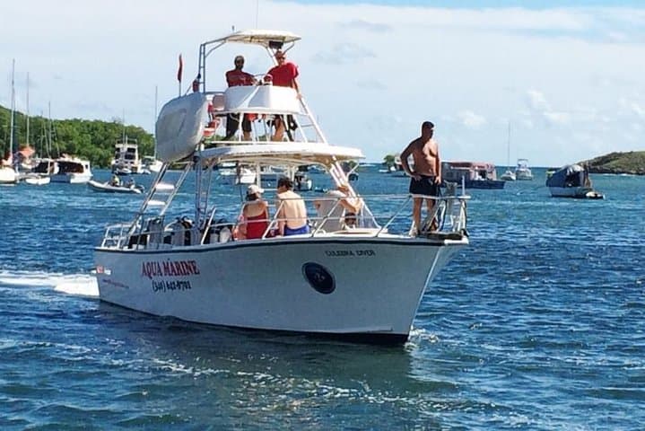 Snorkel with Turtles in St. Thomas: Coral Reef & Shipwreck Tour photo 2
