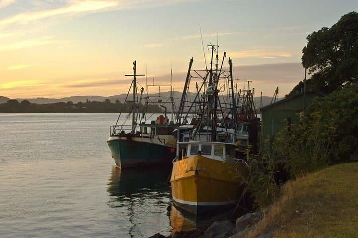 Tauranga Self-Guided Audio Walking Tour: Waterfront, Māori History & City Highlights
