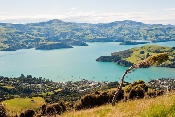 Akaroa Self-Guided Audio Tour — French Heritage, Harbour Views & Dolphin Watching