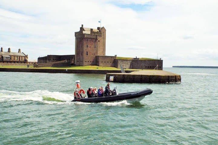 Tay Estuary Speedboat Seafari: Dolphins, Seals & Coastal Sights photo 2