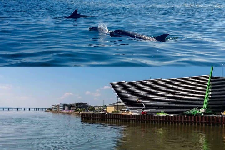 Tay Estuary Speedboat Seafari: Dolphins, Seals & Coastal Sights photo 3