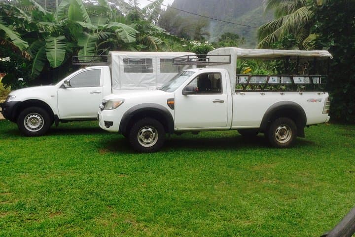 Moorea 4x4 Safari: Belvedere, Pineapples & Magic Mountain in Half a Day photo 2