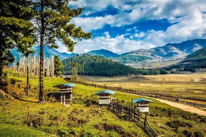 Wonderful Bhutan Tour — 8 Nights, 9 Days in Paro, Thimphu, Phobjikha & Punakha photo 2