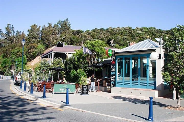 Akaroa Self-Guided Audio Tour — French Heritage, Harbour Views & Dolphin Watching photo 3