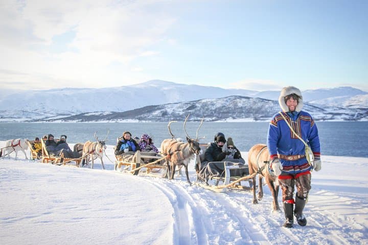 Reindeer Sledding & Sami Culture Near Tromsø: Short Sleigh Ride and Joik Experience photo 3