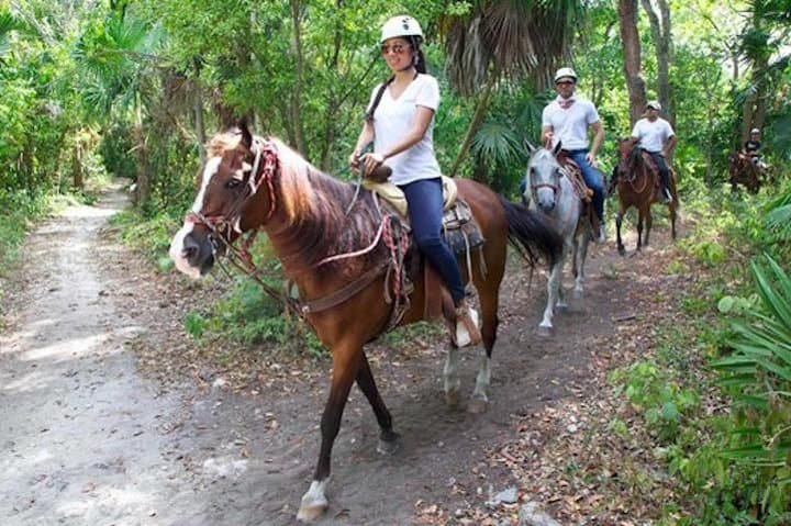 Riviera Maya Zipline and Cenote Horseback Combo from Cancun photo 3