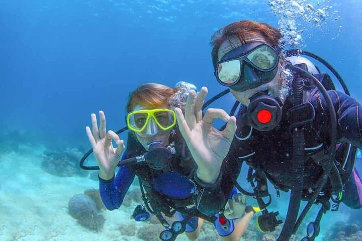 Discover Scuba at Las Caletas: Beginner PADI Dive in Puerto Vallarta photo 5