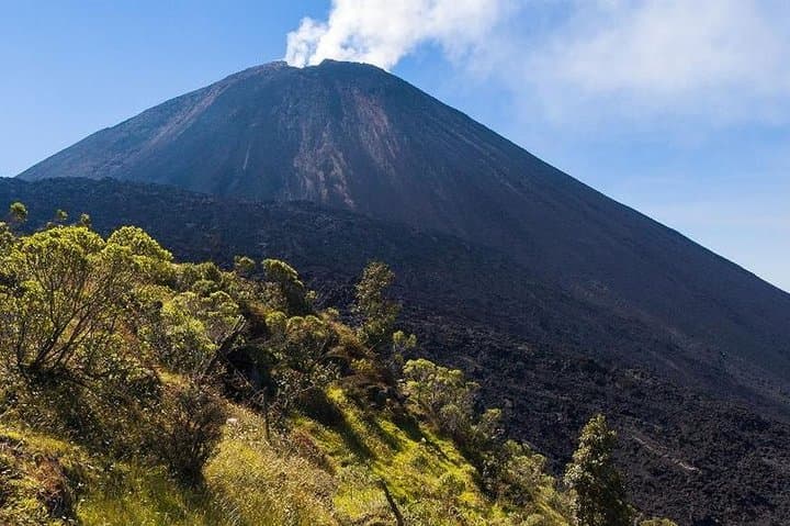Pacaya Volcano Day Hike from Guatemala City: Lava Fields and Volcanic Views photo 2