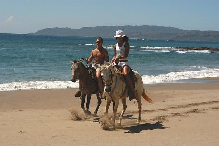 Playa Flamingo Horseback Riding: Jungle-to-Beach Coastal Trail