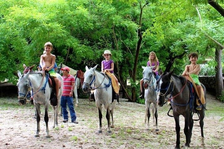 Playa Flamingo Horseback Riding: Jungle-to-Beach Coastal Trail photo 2