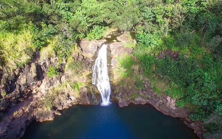 Ultimate Circle Island Tour: Waimea Falls, North Shore & Haleiwa Day Trip from Waikiki photo 2