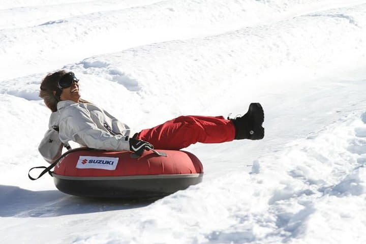 Farellones Snow Park: Full-Day Snow Adventure from Santiago