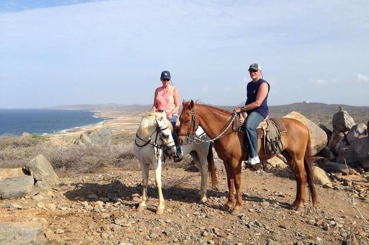 Sunset Horseback Ride in Aruba: Palm Beach Countryside to Northeast Coast photo 1