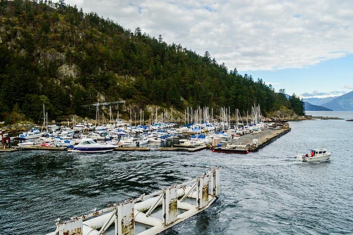 Ferry, Forest & Frame: Bowen Island Photography Hike from Vancouver