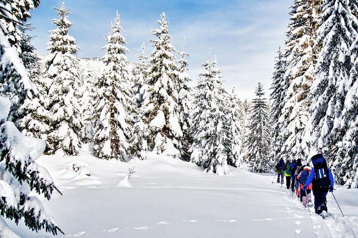 Snowshoe Through Vancouver's Winter Wonderland: Guided North Shore Snowshoe Tour