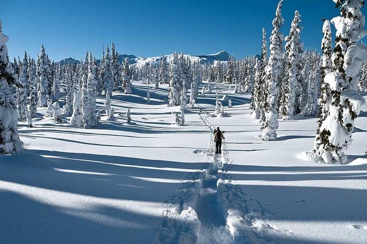 Snowshoe Through Vancouver's Winter Wonderland: Guided North Shore Snowshoe Tour photo 2