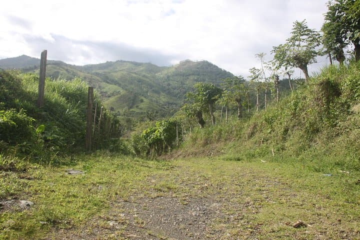 Vista Alegre to Anamuya: Eastern Cordillera Day Hike from Punta Cana photo 2